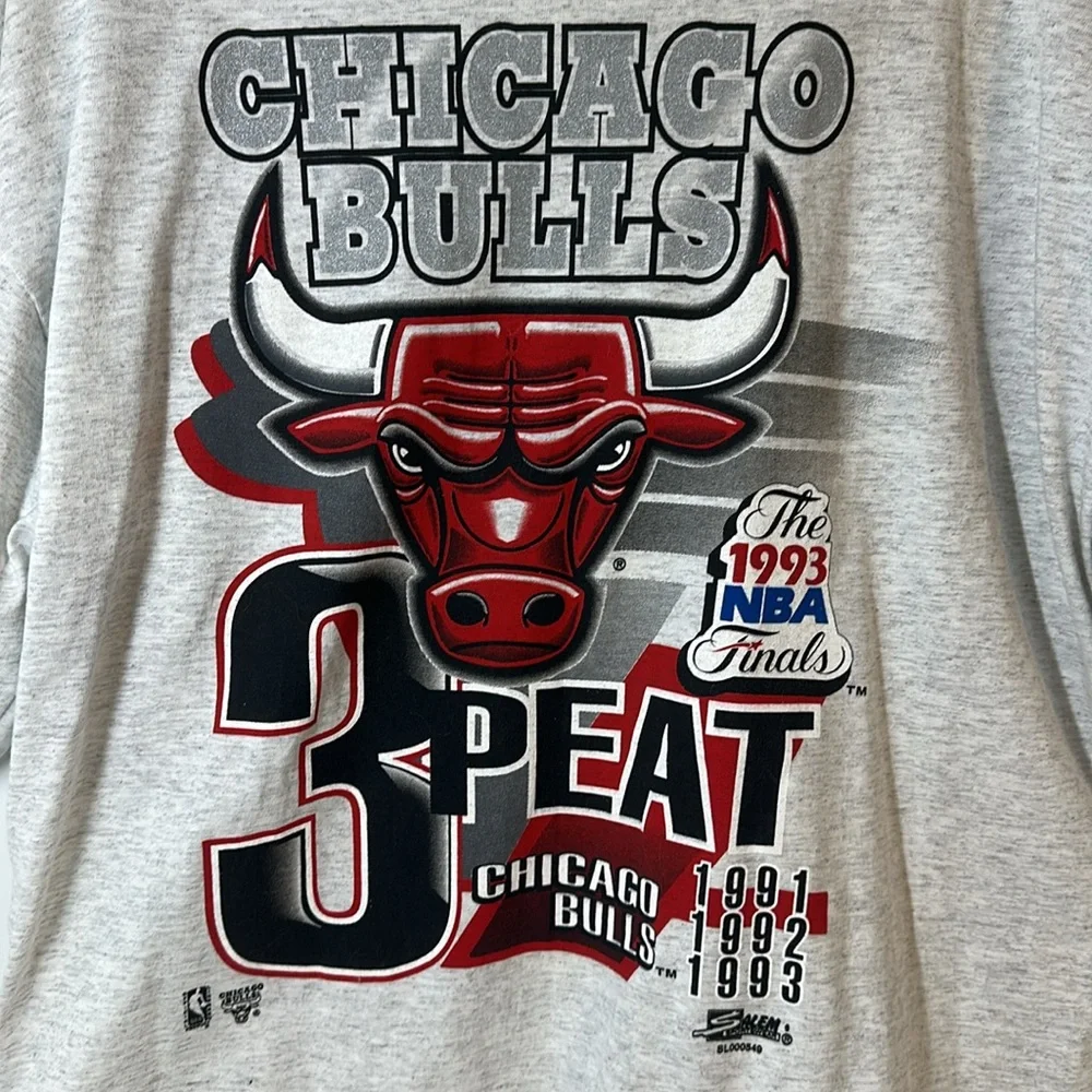 Vintage 1993 NWOT Chicago Bulls Champions Tee, Heathered Gray Made in USA Salem - Picture 2 of 12
